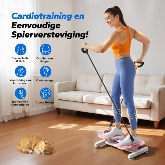 Twist Waist Disc Board Balance Trainer Bands Fitness Core Legs Hips Home Gym