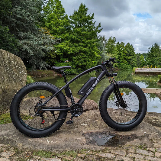 Discover-the-Benefits-of-Electric-Fat-Tire-Bike-Commuting-Today RT Online Outlet