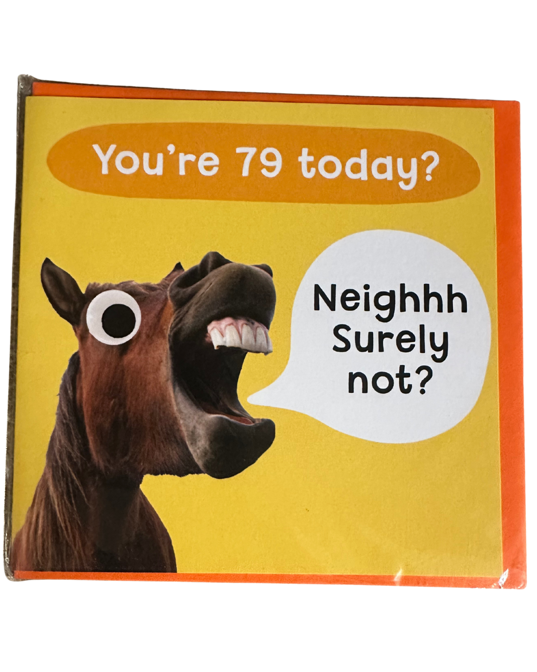 Huxters Birthday Cards with Horses Adults Celebration 79th Years Old