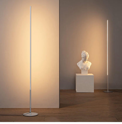 2 Pack LED Floor Lamp Dimmable 3000K Warm White 57.5in Modern Standing Silver