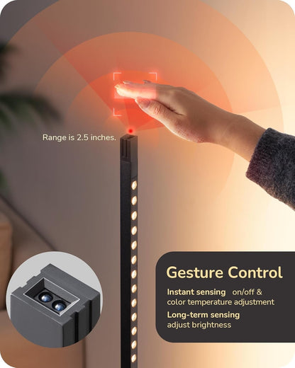 LED Floor Lamp Dimmable 2700K-6500K Remote Control Corner Standing Light