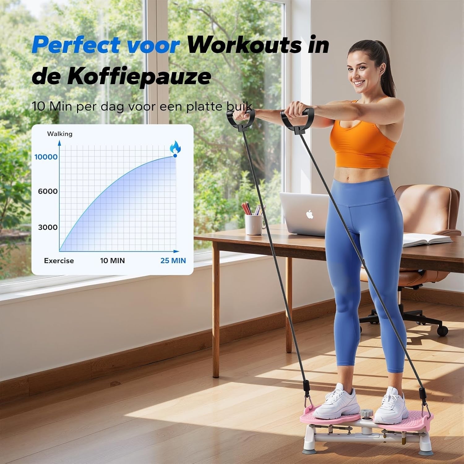 Twist Waist Disc Board Balance Trainer Bands Fitness Core Legs Hips Home Gym