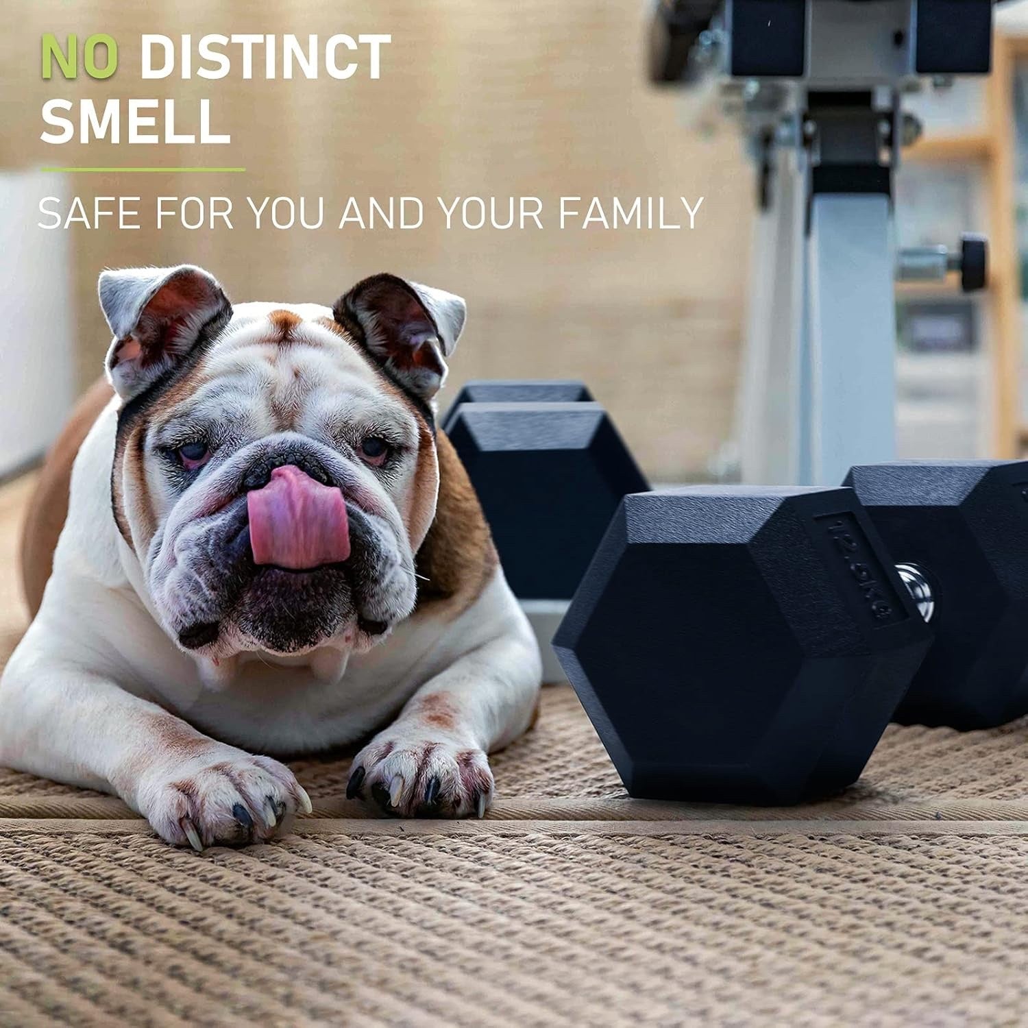 PhysKcal Hex Dumbbells Set Odourless Poly Rubber Encased Dumbbells 10kg
