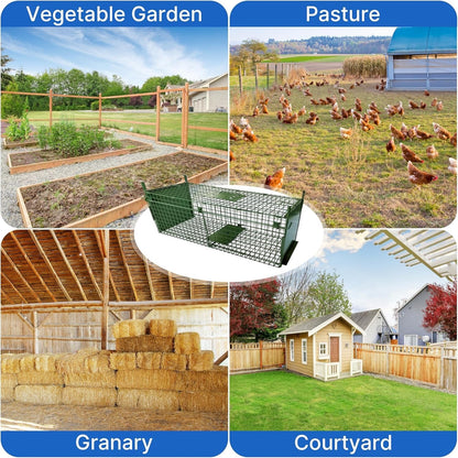 Humane Animal Trap Cage 80cm Double Door Live Catch Foldable Metal Green Rabbit