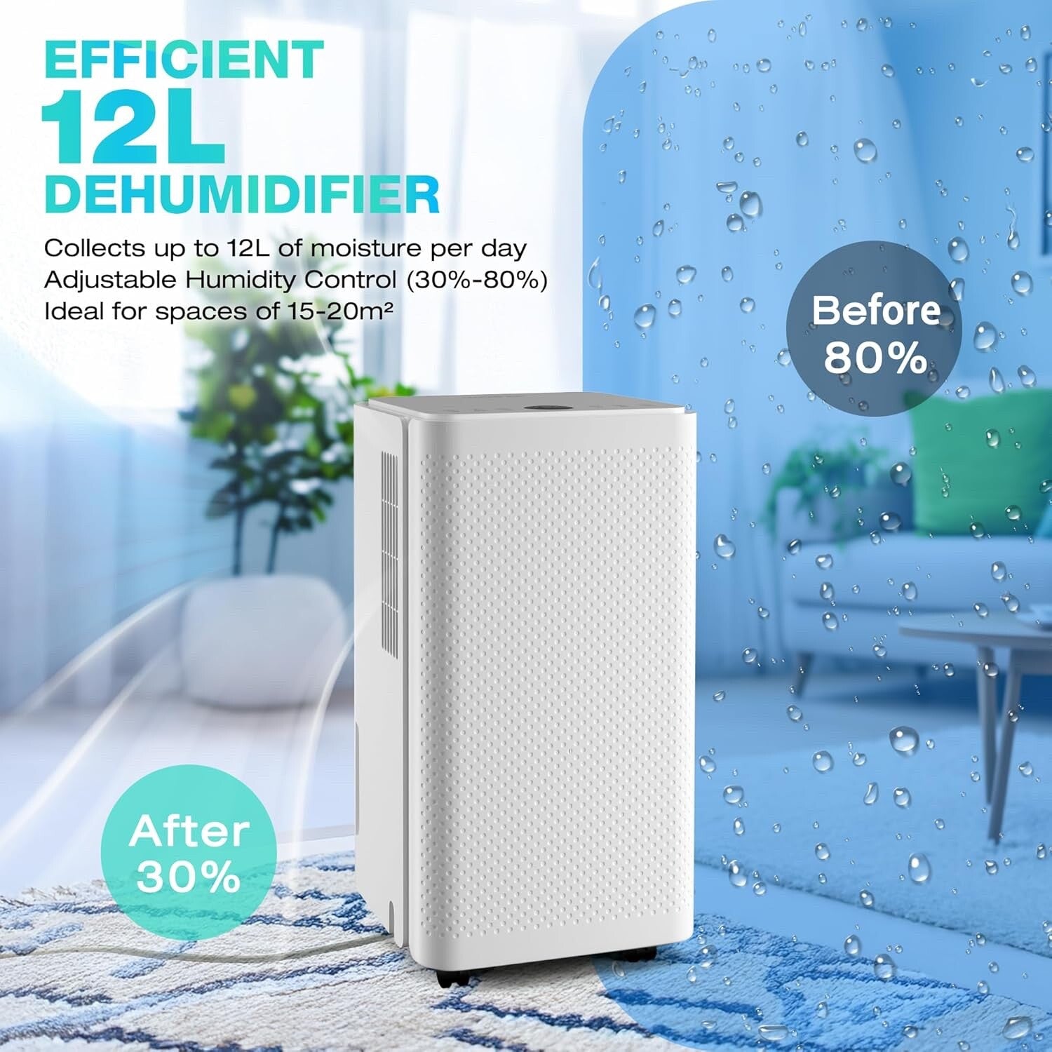 HAUSHOF 12L/Day Dehumidifier for Home with Digital Humidity Display