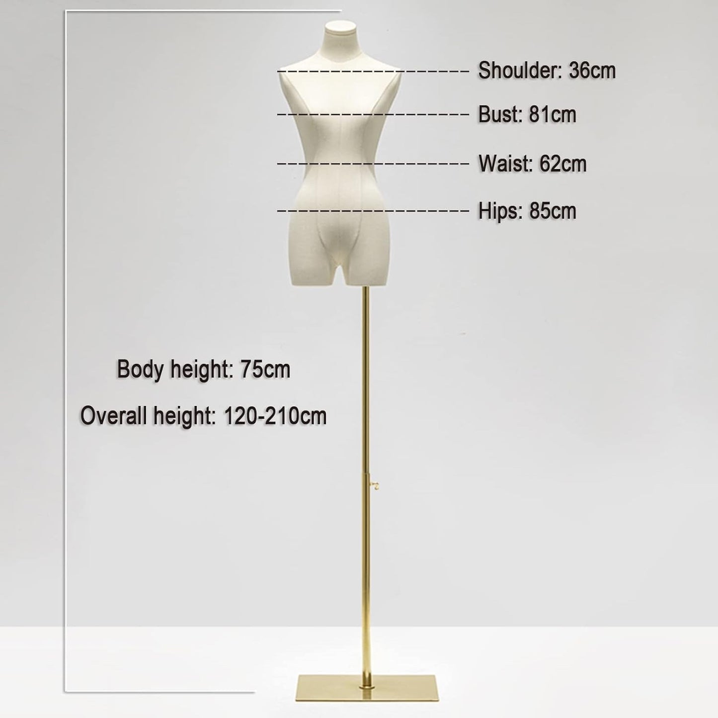 Adjustable Mannequin Torso Dress Form Rectangular Base Clothing Display Stand