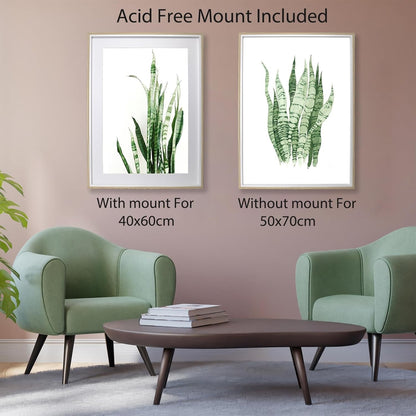Picture Frame Set 50x70cm 3 Pack Wooden White Mounts 40x60cm Wall Poster Frames