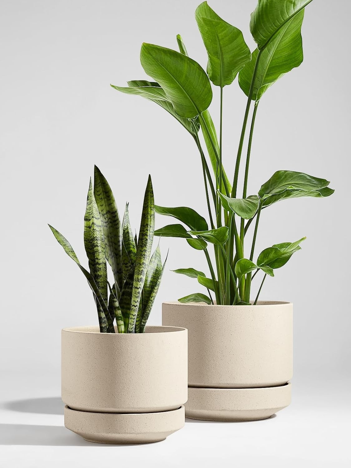 Le TAUCI Ceramic Plant Pot 30 cm Large Planter With Saucer Indoor Outdoor