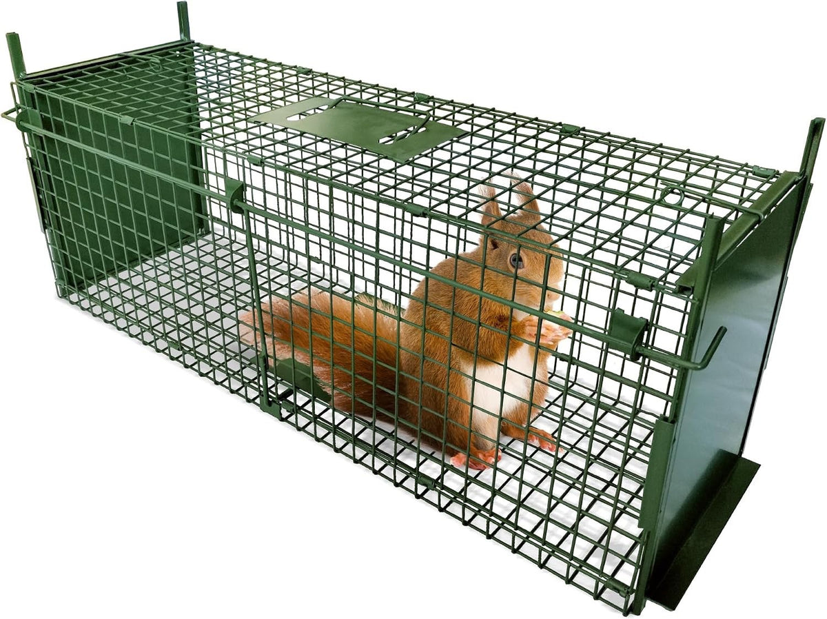 Humane Animal Trap Cage 80cm Double Door Live Catch Foldable Metal Green Rabbit