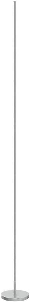 LED Floor Lamp Corner Dimmable 2700K-6500K Remote Standing Light Silver