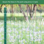 1M x 30M Green PVC Coated Wire Mesh Fence Roll 6x6cm Poultry Chicken Garden Net