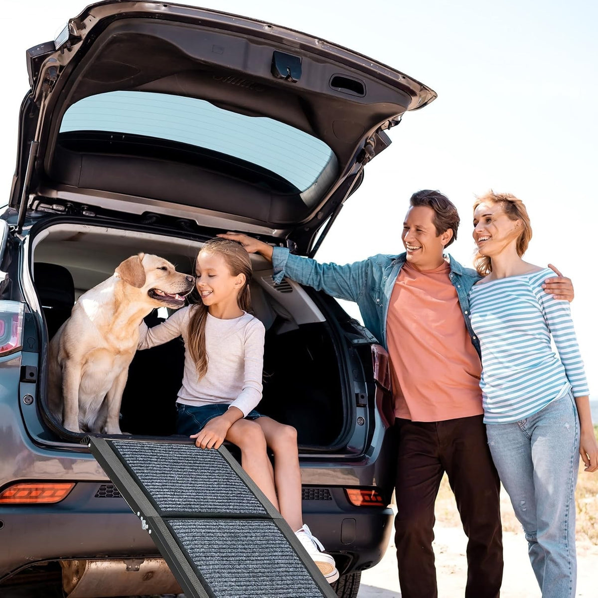 Dog Ramp Car Folding Pet Ramp 160x44cm Non Slip Aluminium 90kg SUV Boot Portable