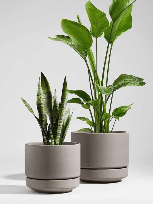 Le TAUCI Ceramic Plant Pot Grey 30 cm Large Planter With Saucer Indoor Outdoor