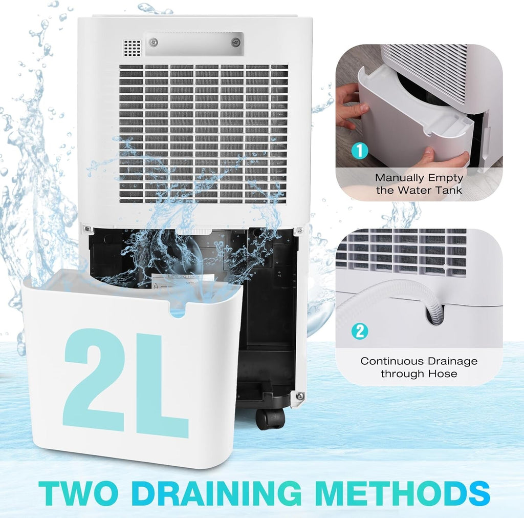 HAUSHOF 12L/Day Dehumidifier for Home with Digital Humidity Display