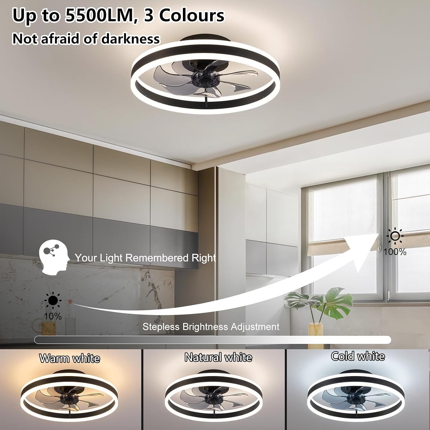 Ceiling Fan Light 50cm Remote 6 Speed Reversible Dimmable LED 5500lm Black Quiet