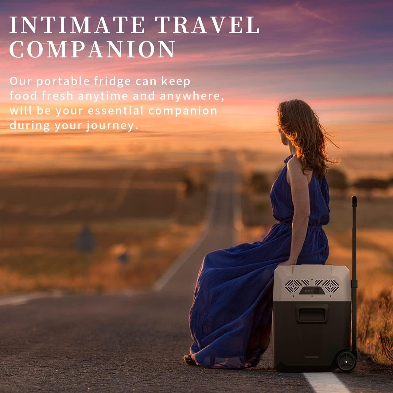 50L Portable Car Refrigerator Freezer 12V DC Compressor -20C Camping RV USB