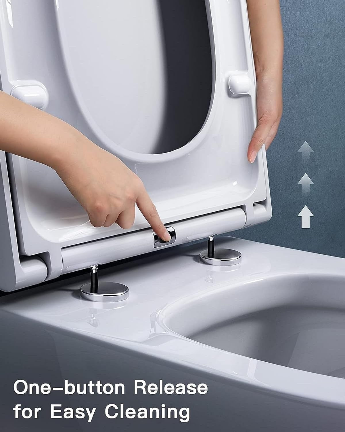 Toilet Seat Soft Close D Shape Quick Release Adjustable Hinges White Top Fix