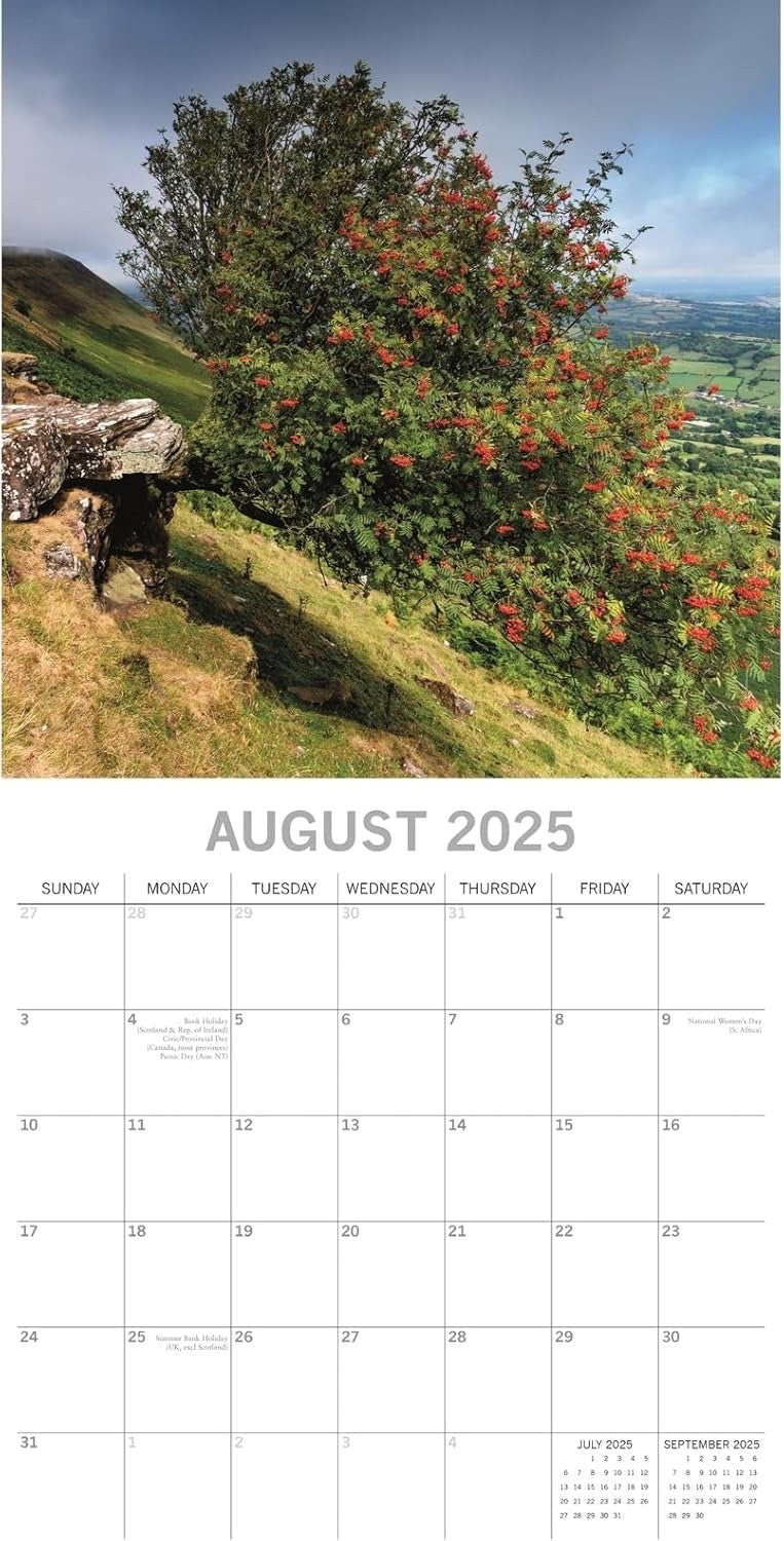 2025 Square Wall Calendar Beauty of Trees 16-Month Floral Theme