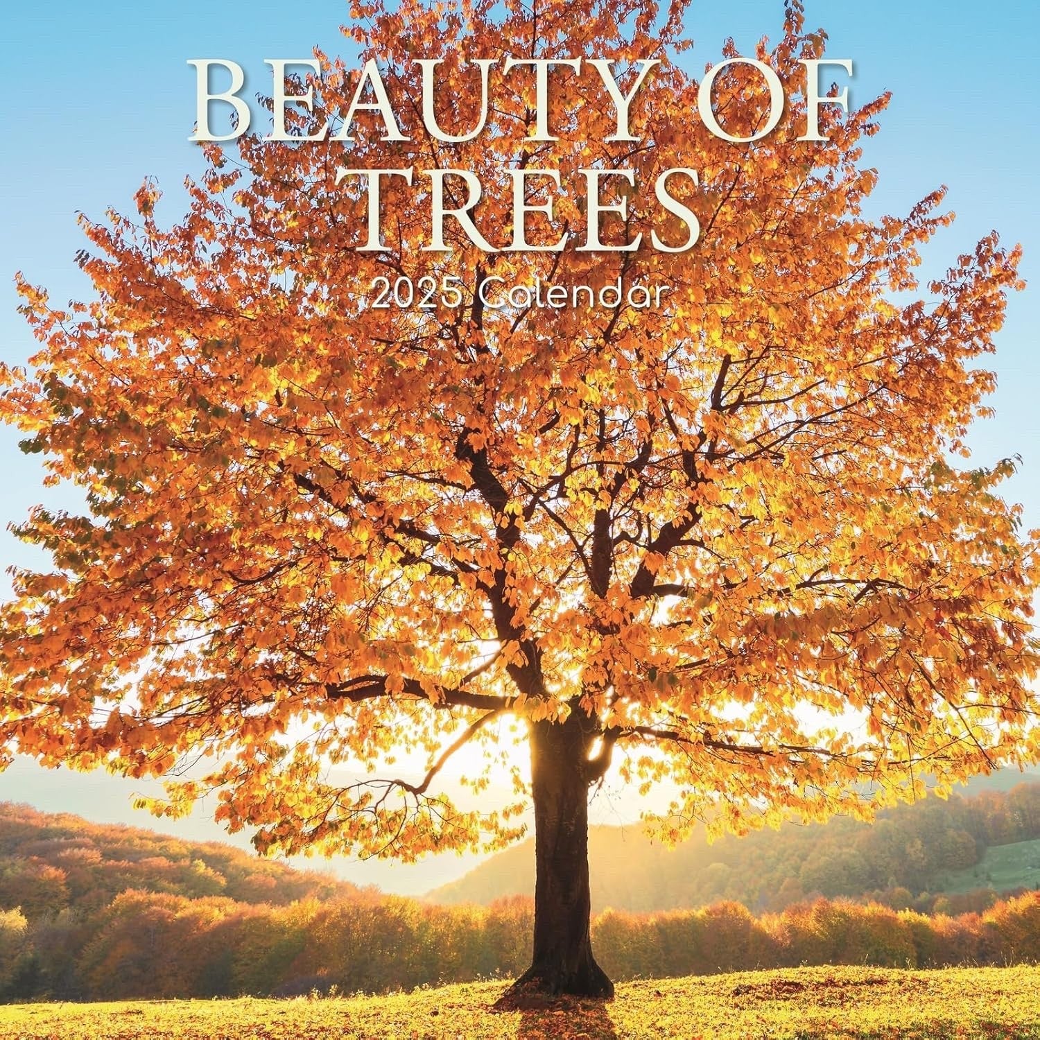 2025 Square Wall Calendar Beauty of Trees 16-Month Floral Theme