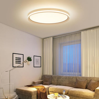 LED Ceiling Light 50cm Full Spectrum Dimmable Round Remote Flush Mount Lamp Room