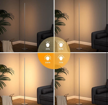 2 Pack LED Floor Lamp Dimmable 3000K Warm White 57.5in Modern Standing Silver