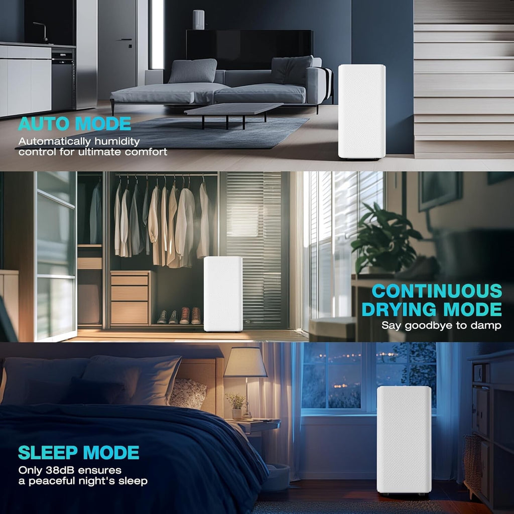 HAUSHOF 12L/Day Dehumidifier for Home with Digital Humidity Display