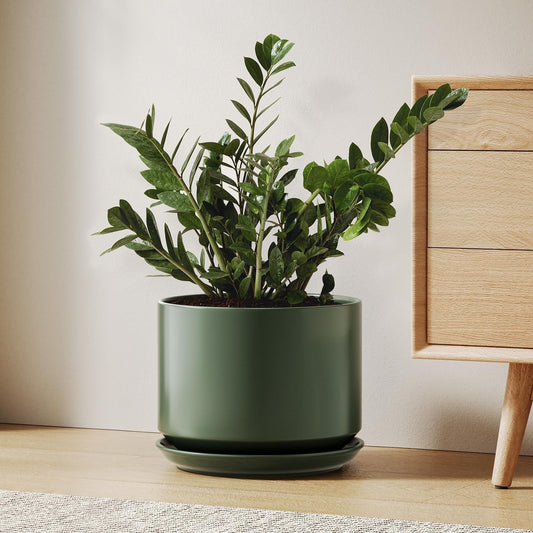 Ceramic Plant Pot Planter 25cm Green with Attached Saucer Drainage Hole Indoor