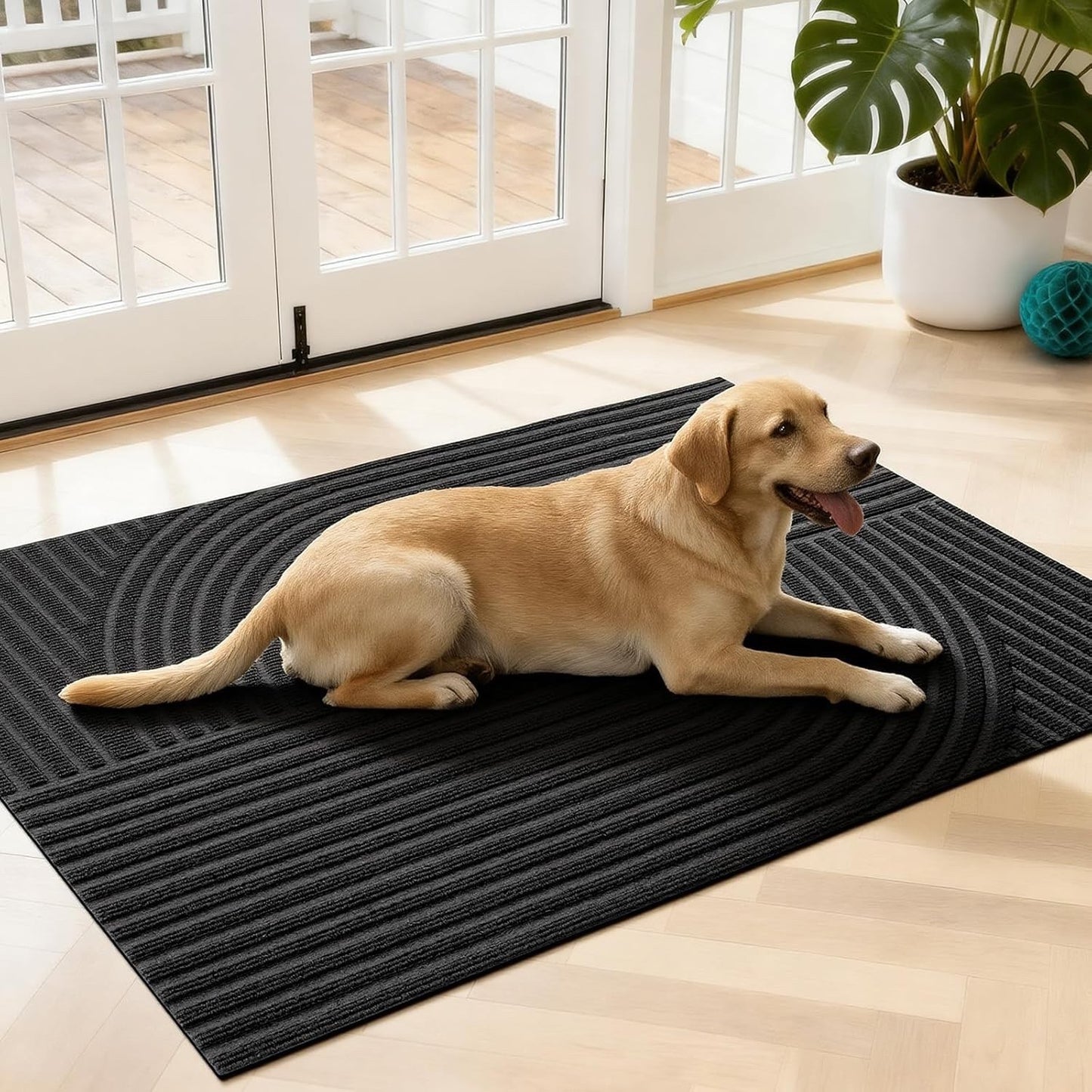 Indoor Doormat Non Slip Dust Catcher Floor Mat Entrance Rug Washable 90x150 cm