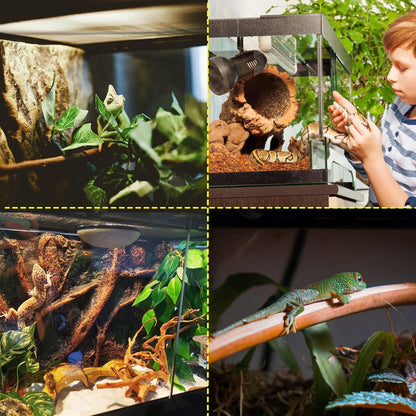 NEPTONION 32 Gallon Professional Glass Terrarium 18"x18"x24"