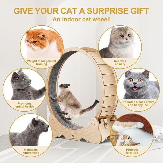 Naviconvex Cat Wheel 39.4 inch Diameter Cat Exercise Wheel for Indoor Cats