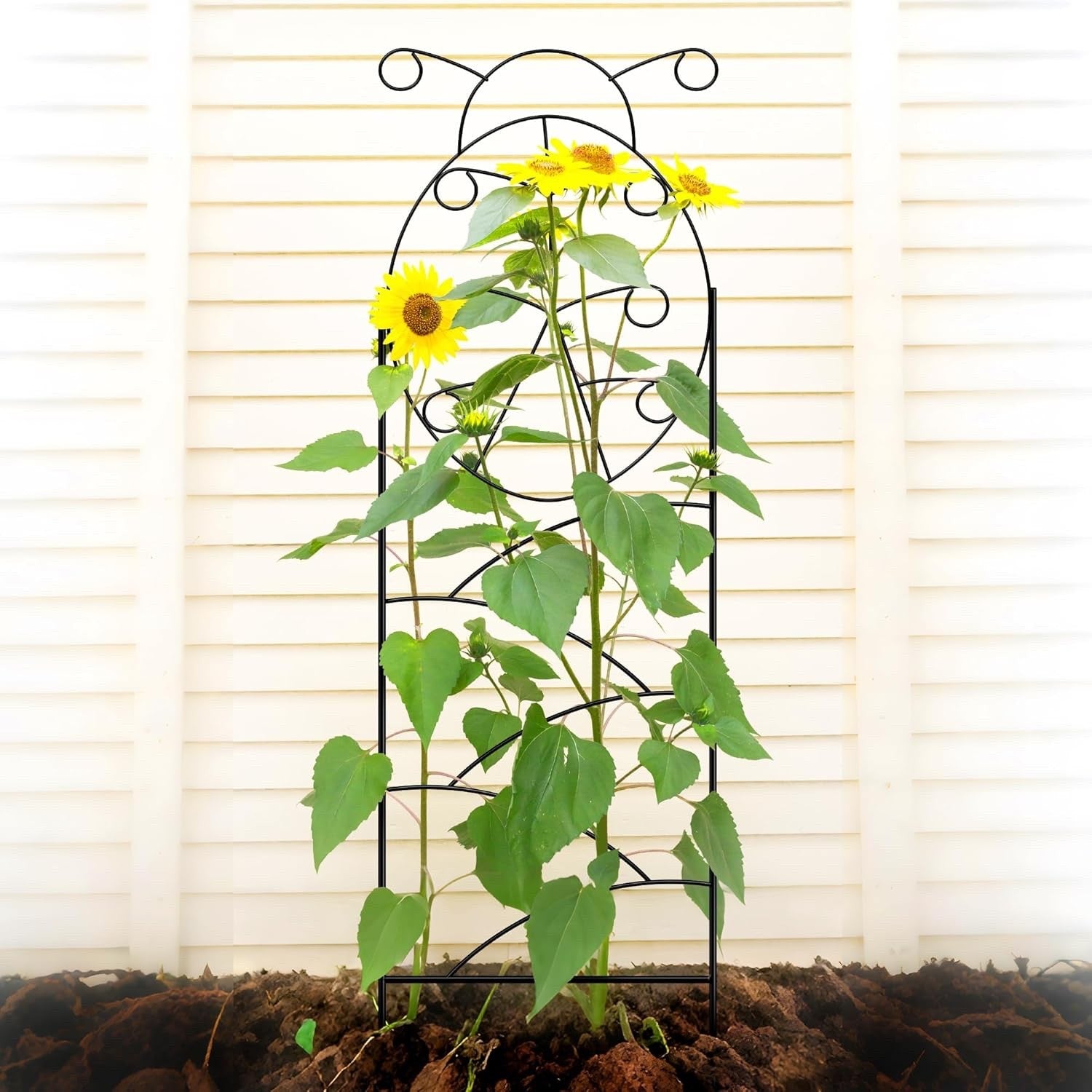 Metal Garden Trellis 142cm Pack of 4 Climbing Plant Support Indoor Outdoor